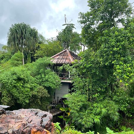 Khaosok Farmstay Khao Sok National Park エクステリア 写真