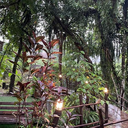 Khaosok Farmstay Khao Sok National Park エクステリア 写真