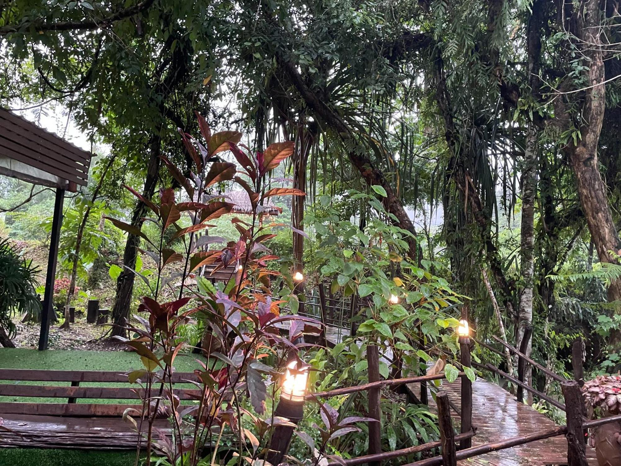 Khaosok Farmstay Khao Sok National Park エクステリア 写真