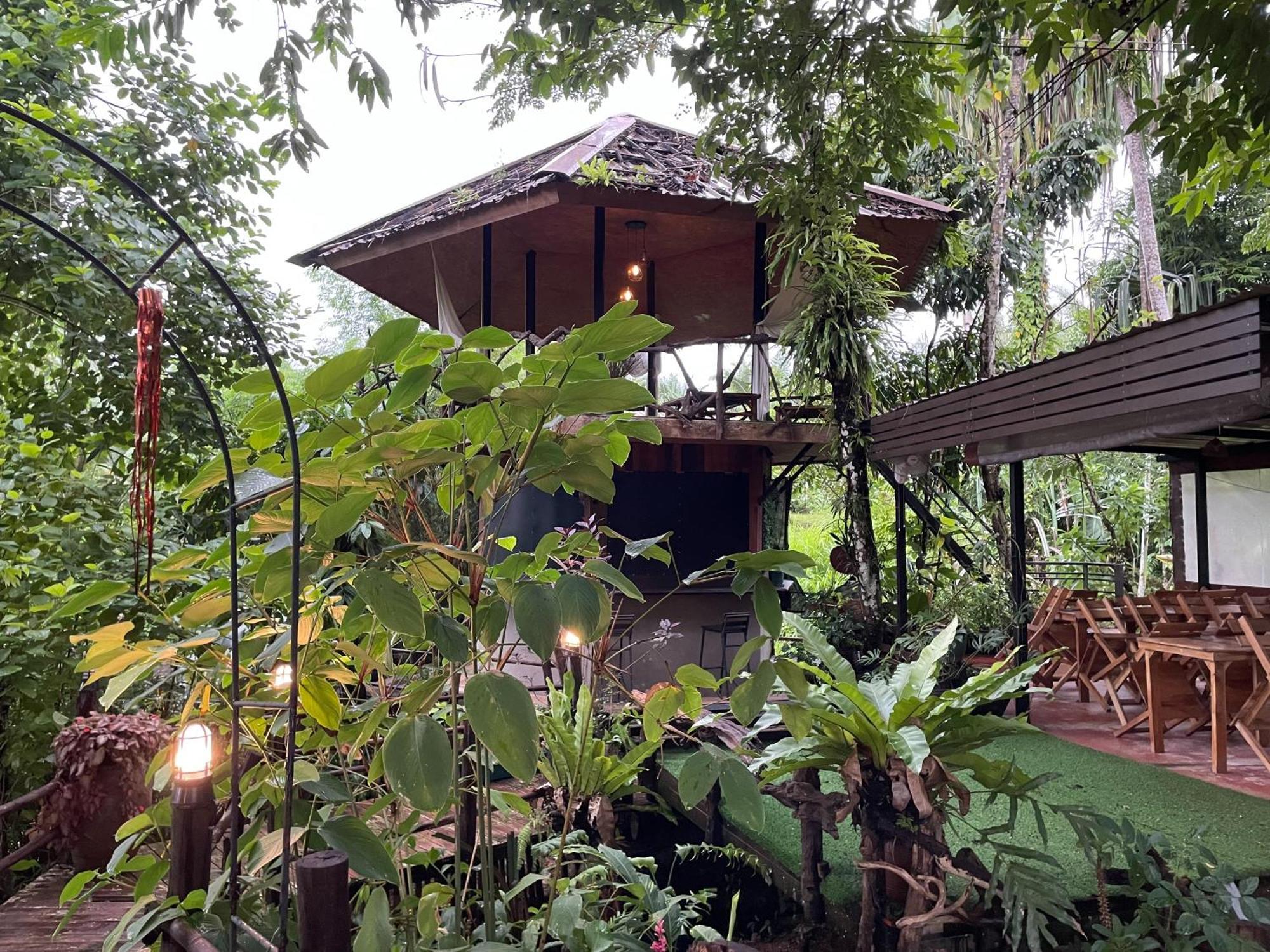 Khaosok Farmstay Khao Sok National Park エクステリア 写真