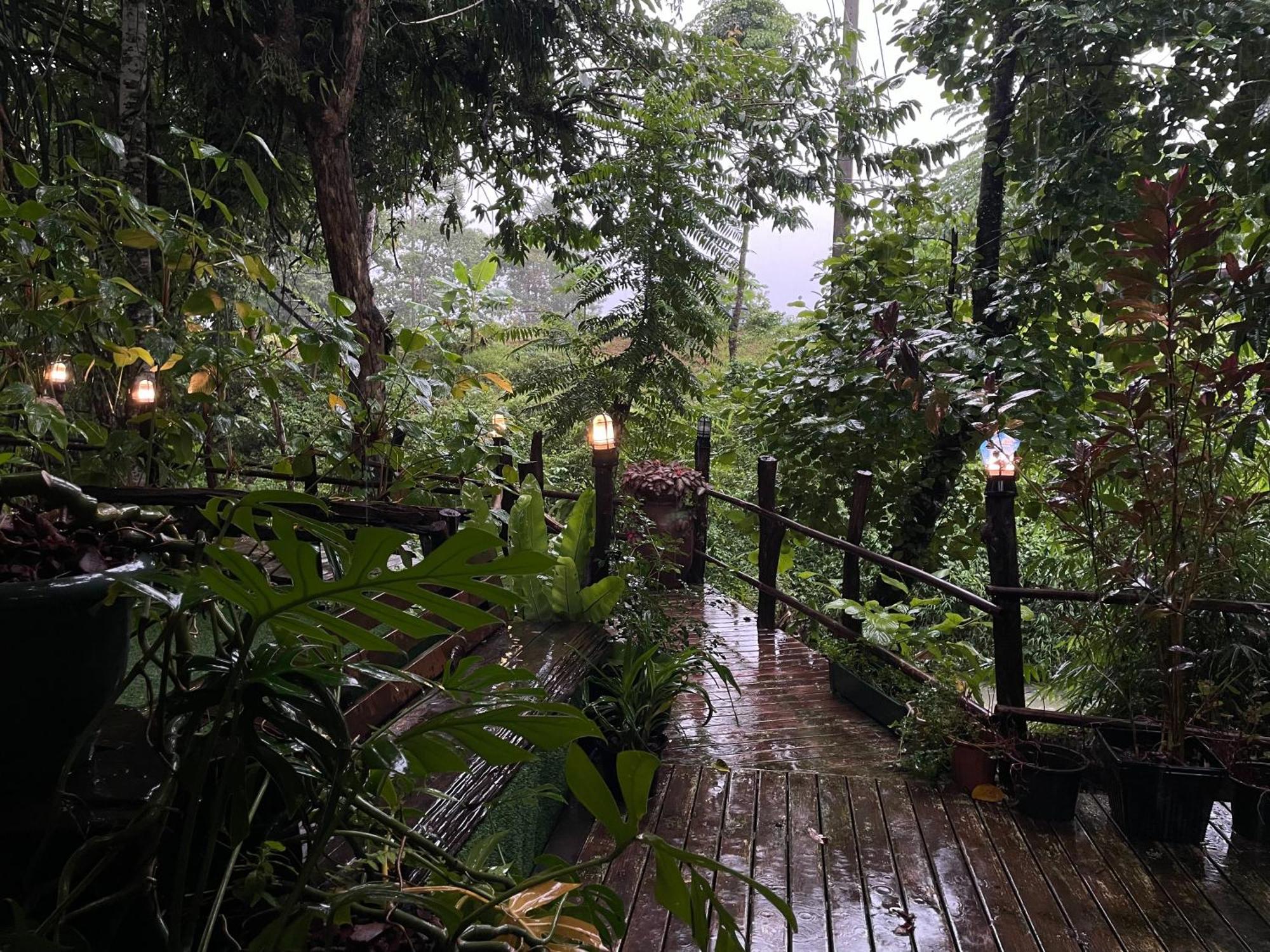 Khaosok Farmstay Khao Sok National Park エクステリア 写真
