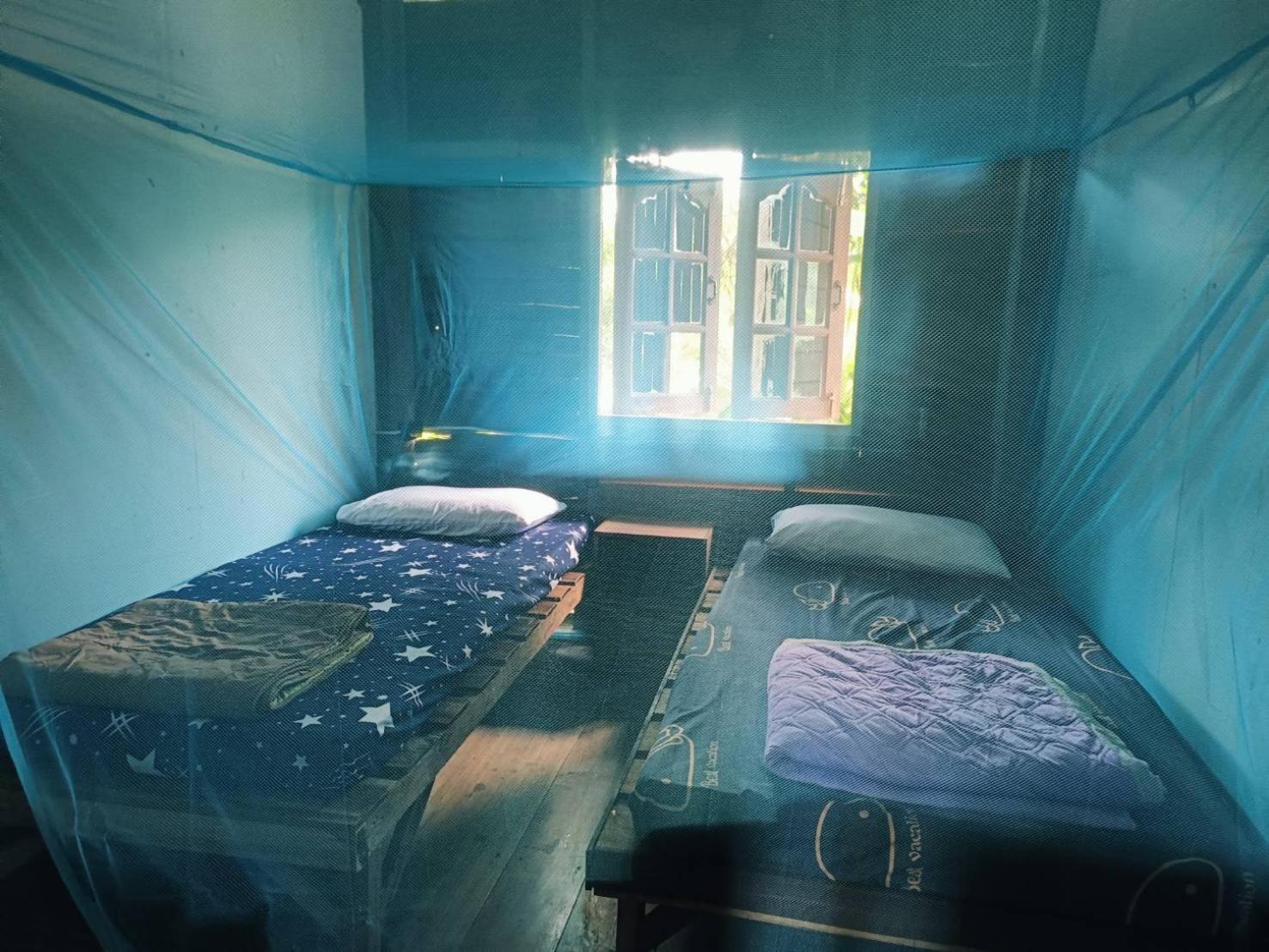 Khaosok Farmstay Khao Sok National Park エクステリア 写真